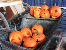 img_0093_web
